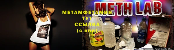 индика Балахна