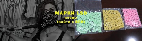 эйфоретик Грязовец