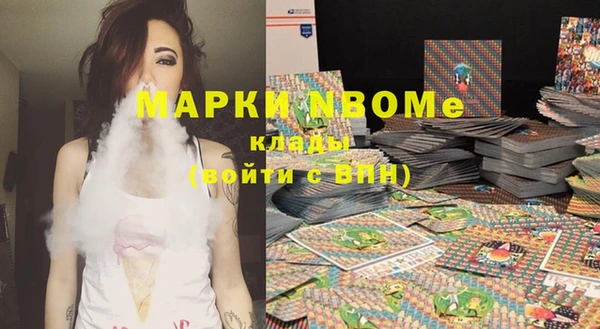 индика Балахна