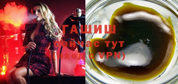 индика Балахна