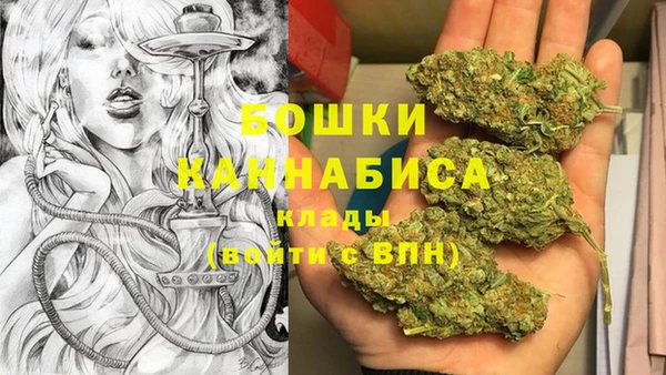 индика Балахна