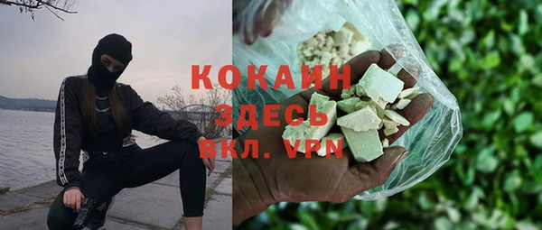 индика Балахна