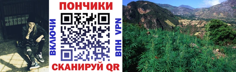 Каннабис Amnesia Рудня